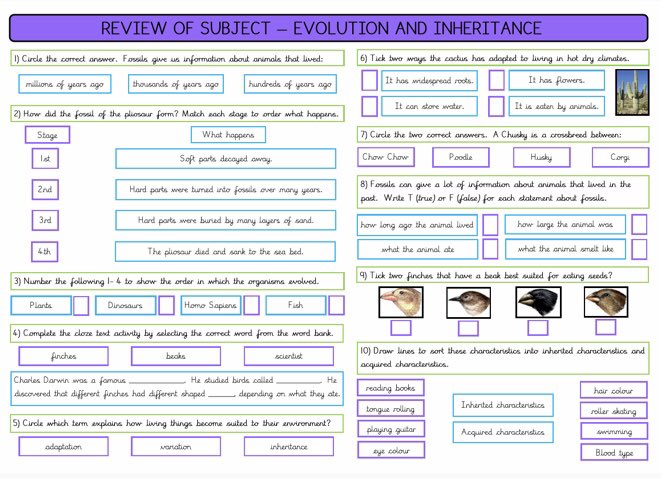 PatelFarhana84's tweet photo. So a follow on from my knowledge organiser. An Evolution and Inheritance end of unit assessment. Please retweet and share with colleagues! 😊 @KnowOrganisers @GM_Science_LP @GreatSciShare @TalkUpTeaching @KnowOrganisers @theks2group #reduceteacherworkload https://t.co/6Y4eD5RjgC