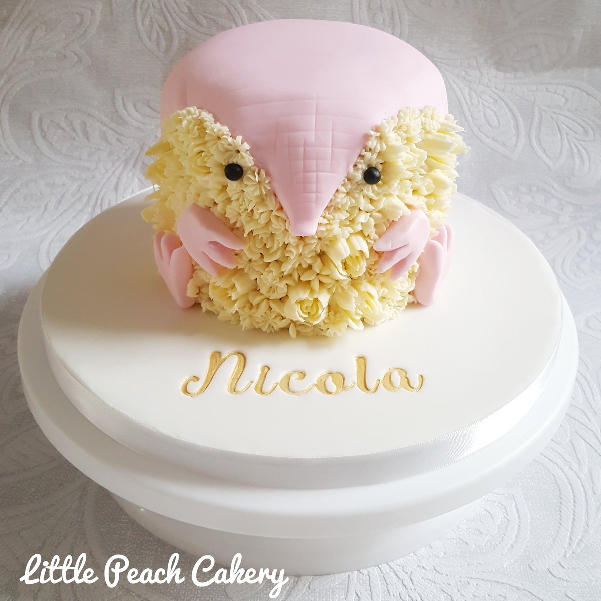 PeachCakery's tweet photo. New cake design from @PeachCakery meet Pink Fairy Armadillo Cake. Buttercream flowers #russianpipingtips #niftynozzles #sweetstamps 
#cake #armadillo #pinkfairyarmadillo #birthdaycake #unusualcakes #buttercream #fondant #cuteanimals #cutecakes #wiltshire #devizes https://t.co/UnUvVUymeD