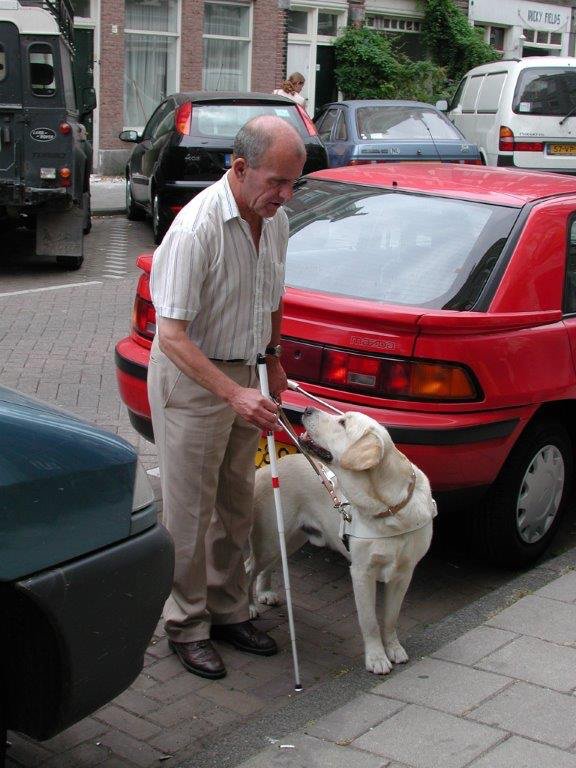 Kees Tinga tweet media