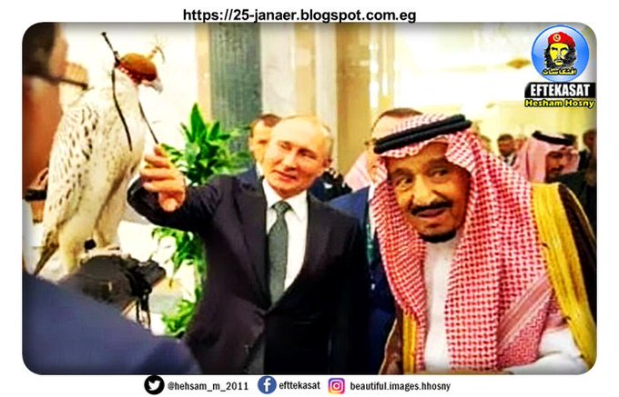 بوتين يهدي الملك سلمان صقرًا أبيض