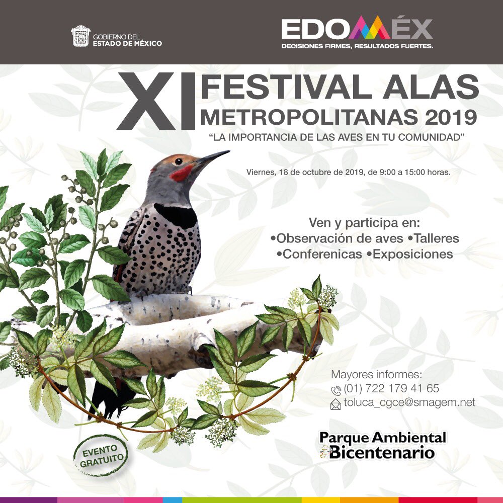 AmbienteEdomex's tweet photo. Conoce más acerca de la importancia de las aves en #México y tu localidad, asiste el 18 de octubre de 9 a 15 horas en el Parque Ambiental Bicentenario al 11º Festival Alas Metropolitanas #2019.
Invita la Coordinación General de Conservación Ecológica de la #SMA y @festivalascdmx. https://t.co/9QTPomhRQJ