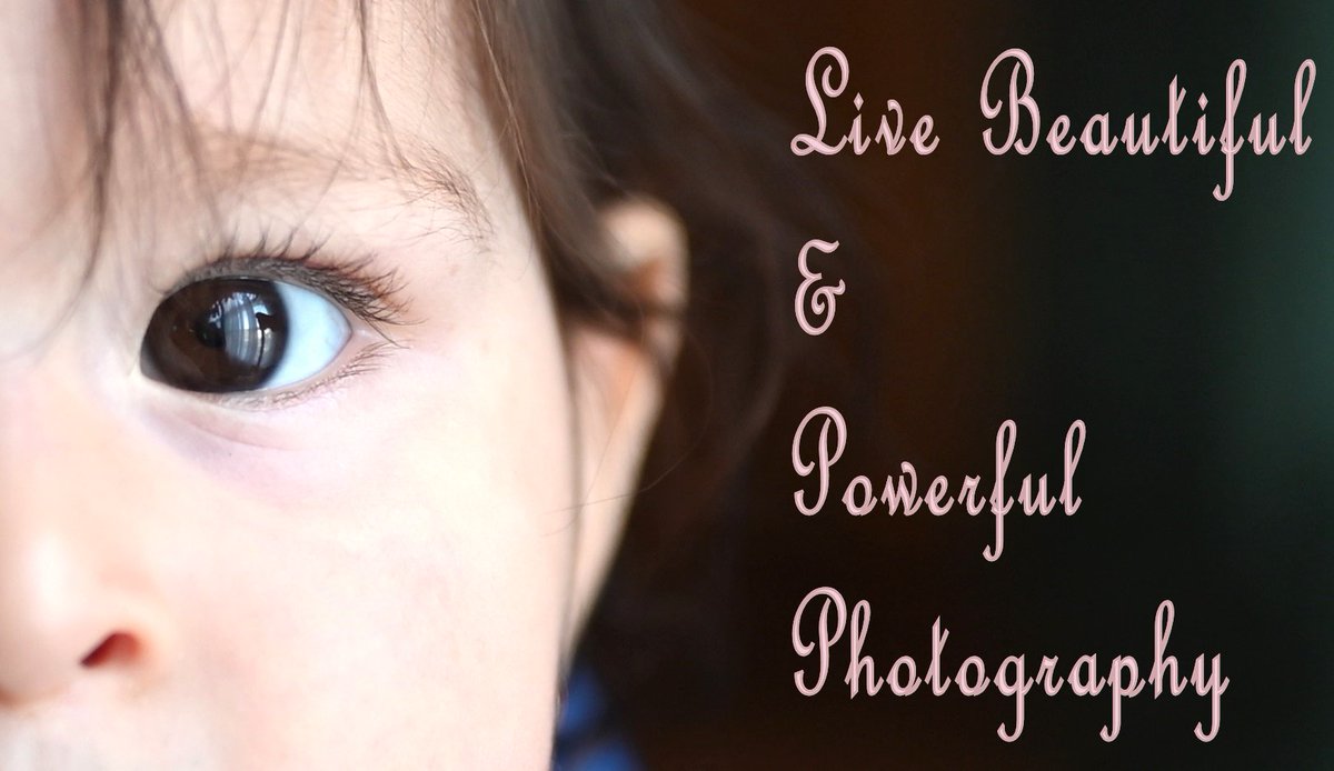LifeBeautyPower's tweet photo. So excited to share our art and gifts with you! Through Live Beautiful and Powerful, we aim to capture your special moments and gathering the beauty and power of details. https://t.co/vpY6KXKp7u