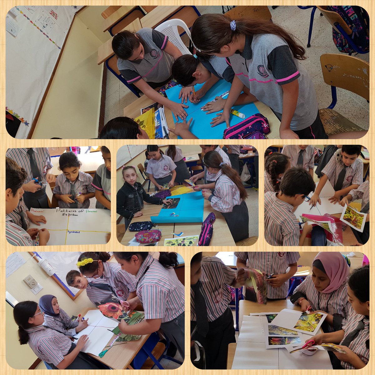 FatimaBasrawi's tweet image. Grade 5 learners worked cooperatively to figure out the 4 #patterns_of_nutrition of plants through #problem_based_learning @MakAishaSchool
