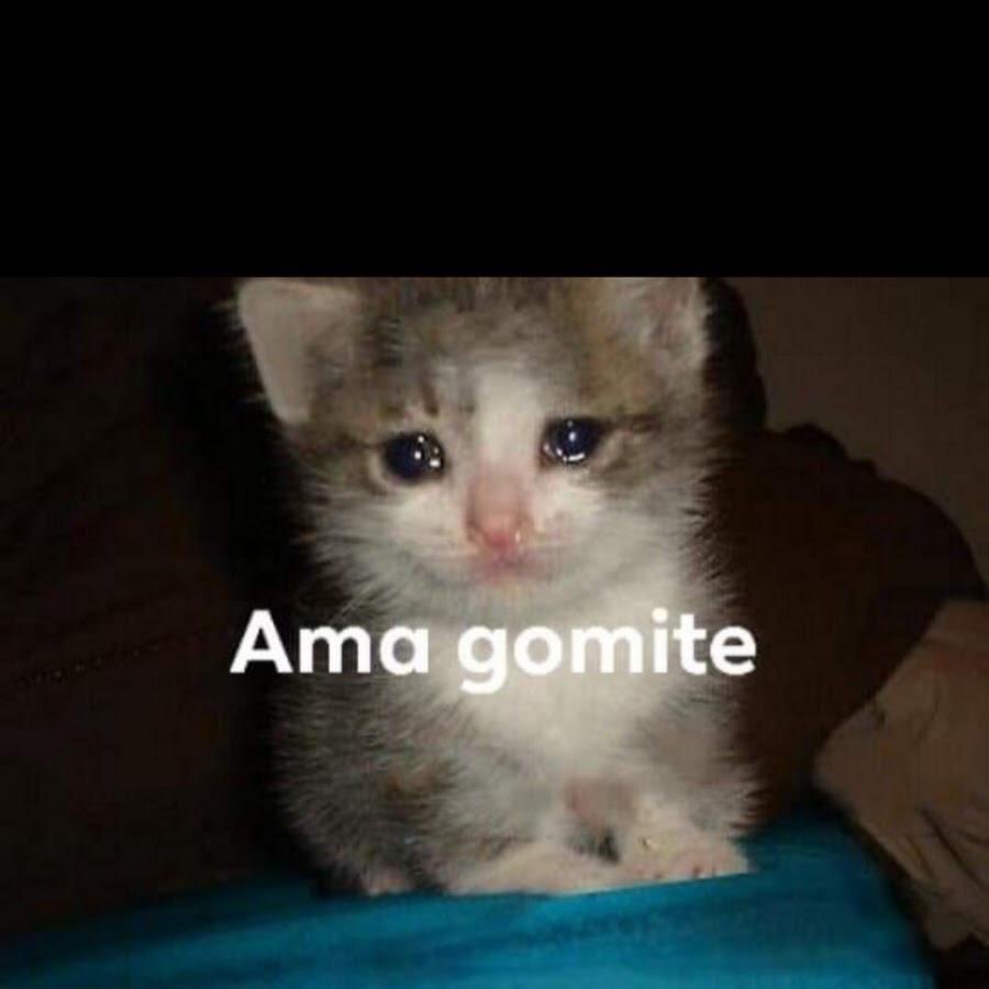 Coach: ........ Cynthia: me gomite ama