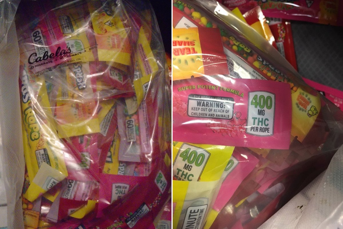 nypost's tweet image. Police warn parents to check for THC-laced Halloween candy trib.al/KthEt3d