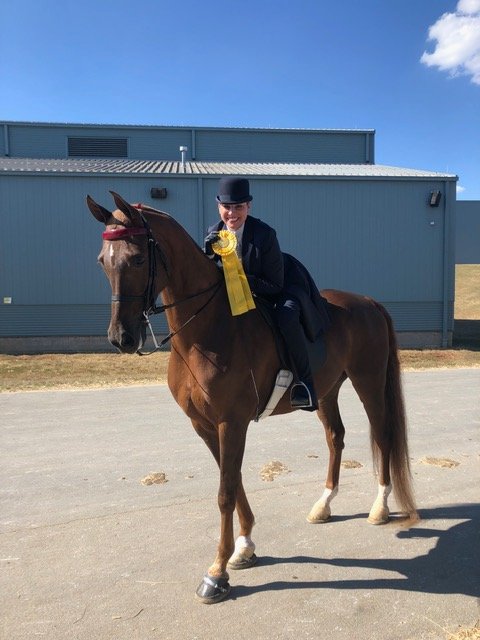 I haven't tweeted in a long while... I am still around. Happy &amp; horse crazy. Also made my PR business an LLC. 'Bout time.