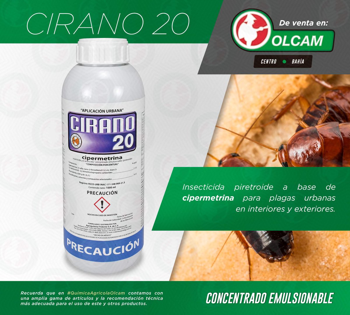 OlcamMX's tweet photo. Con #Cirano20 controlas de manera inmediata alacranes, arañas, cucarachas, grillos, moscas, mosquitos, pescadito de plata, pulgas, ubicadas en el interiores o exteriores con efecto residual para hacerlo mas eficaz. #QuimicaAgricolaOlcam
#Acapulco #Olcam #FelizLunes https://t.co/tvdB0EDy00