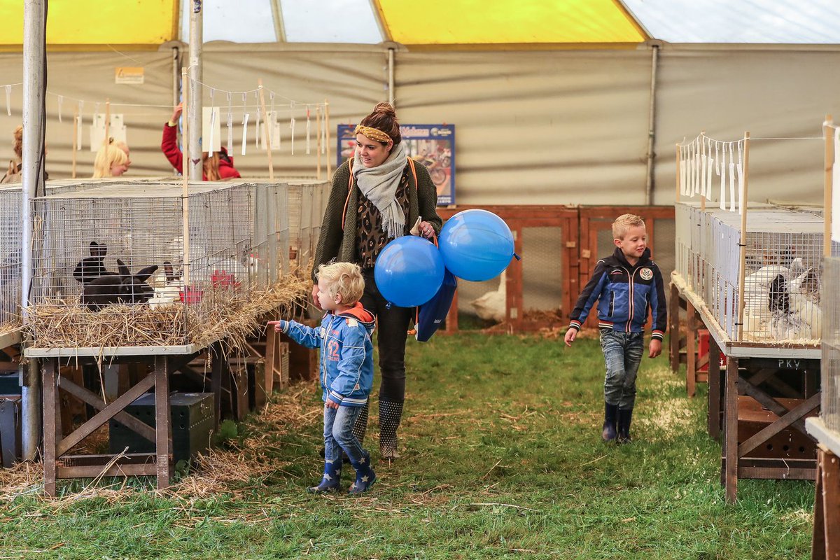 defokveedag's tweet photo. Uitslagen Alblasserwaardshow:

https://t.co/hiy5elUCZZ https://t.co/7mmab75BGB