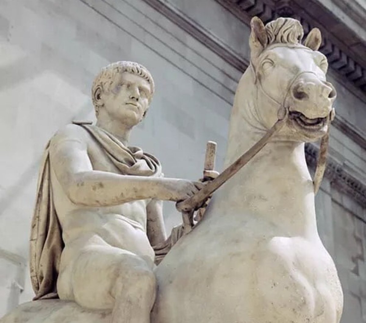 калигула и инцитат. сенатор рима конь. инцитат конь калигулы. инцитат сенатор. конь наполеона бонапарта.