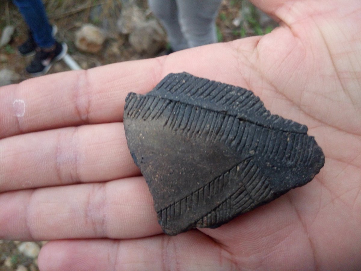 ApS_IBalears tweet media