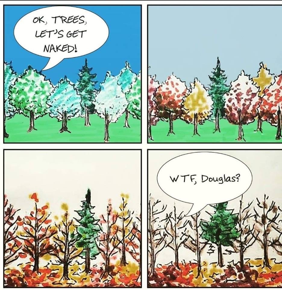 janineXpec's tweet photo. #FallPorn 🍁🍂 https://t.co/Vym6JEmShz