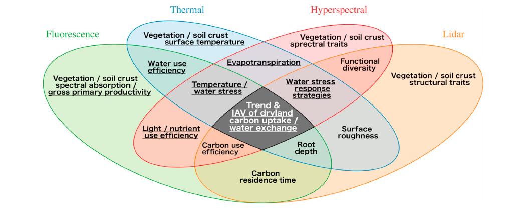 Wkolby's tweet photo. Excited to share our new #RSE @ELSenviron review paper led by myself and @MPDannenberg w/ many excellent co-authors, "Remote sensing of dryland ecosystem structure and function: Progress, challenges, and opportunities" @ddsense @UASNRE @UAresearch    https://t.co/TnsIwJOvzH https://t.co/VVtv8cgU2e
