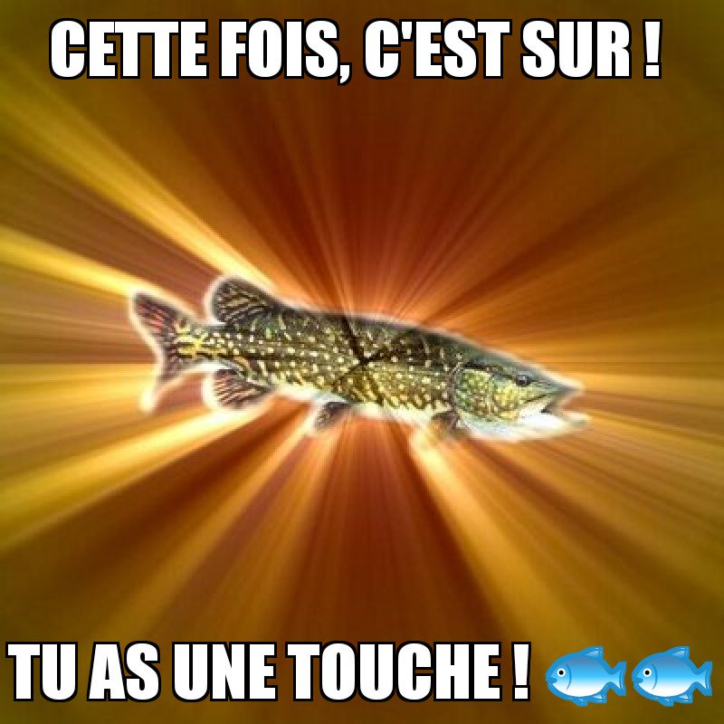 pierre__durand's tweet photo. @Cindyplodocus https://t.co/IMur239m5E