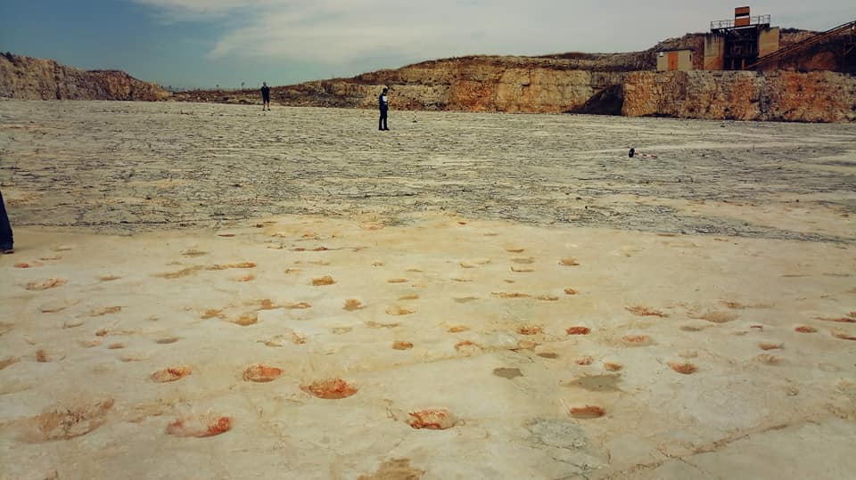 Valle dei Dinosauri: dopo l’acquisizione a Patrimonio pubblico, il primo passo affinché diventi Patrimonio dell’Umanità.

Francesco Fiore - Movimento Culturale “ORA”

Foto di Antonello Fiore