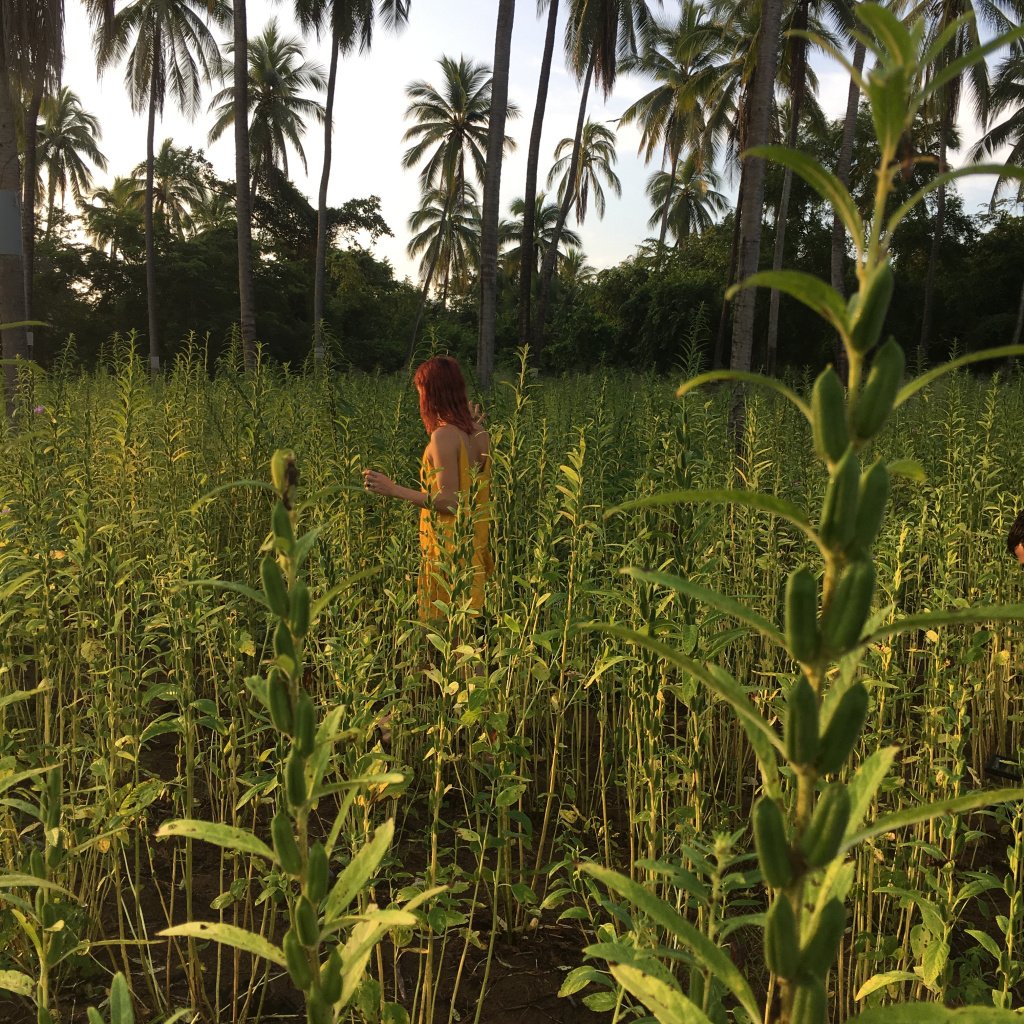 Coevolution: Growing Together playaviva.wordpress.com/2019/10/14/coe…