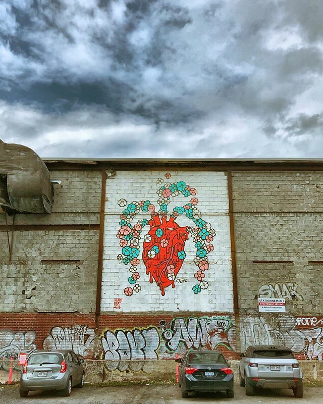 dan_jeannotte's tweet image. 🌸❤🌼
"Heart Beat" #mural by @antoinetava 
#montrealstreetart #streetartphotography #streetarteverywhere #urbanart #graffitiigers #instagraff #arteurbano #artderue #montreal #griffintown ift.tt/2OKAOyq
