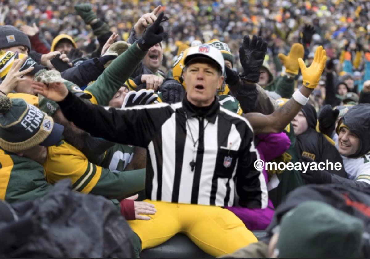 Image result for ref lambeau leap