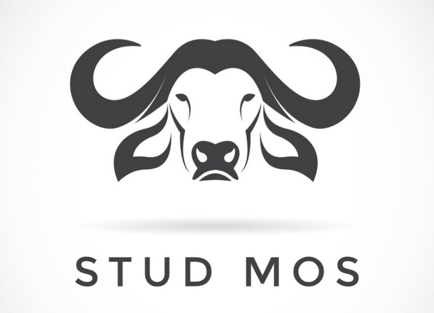 Donate to the STUD MOS #Movember team via:

moteam.co/stud-mo-s?mc=1

#menshealth #studmos #AgChatOz