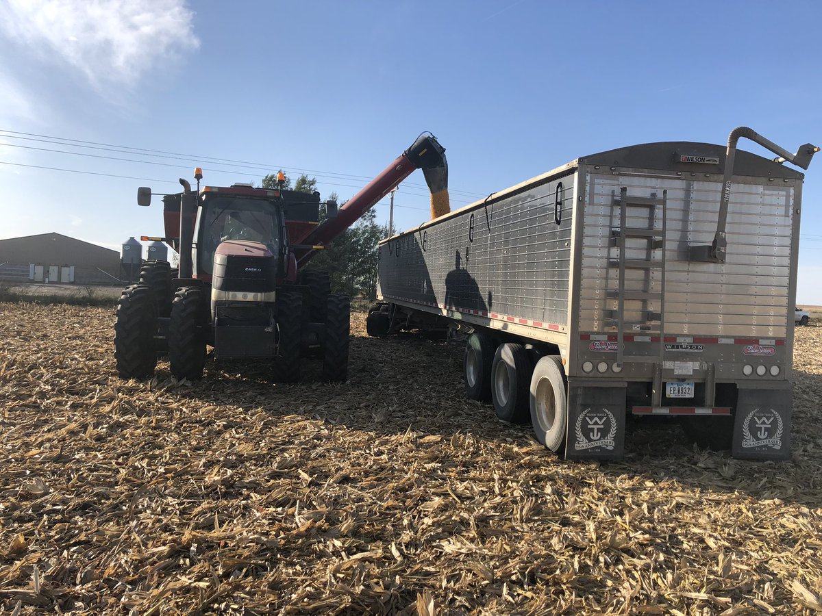 Finally got to get for a ride out in the paddock after the weather. Heading home in a couple of days. Straight into to harvest by the sounds of it.