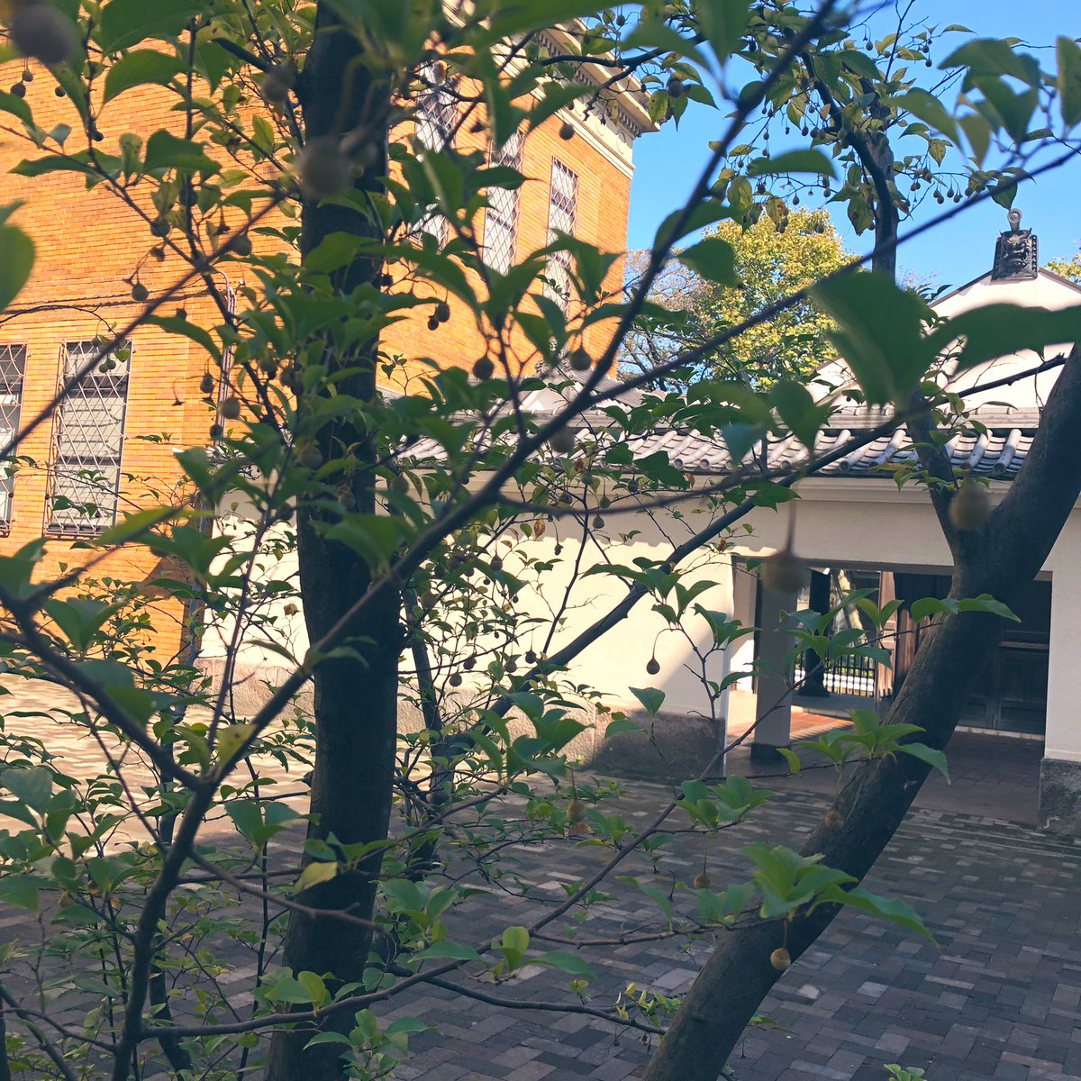 こんにちは🌳
本日は月曜(祝)の振り替えでNoM cafeと藝大アートプラザ様はお休みです😌

昨日は寒い雨降りのお天気の中
沢山のお客様がお越し下さり
美味しいの一言を頂き嬉しい心が温かくなった一日でした。　
皆様いつもありがとうございます✨
明日も10時から藝大アートプラザ様前で出店しています