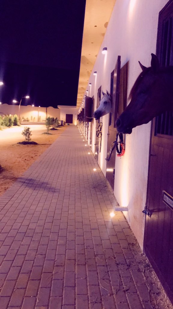 لكل البنات الي يحبون الخيول ويبون يتعلمونها ويحسون انه شيء صعب المنال! 
في وسط الرياض تحديداً تغطيتي لإسطبل الراجحية
Time to ride, let’s make it real 😍🔥🐎