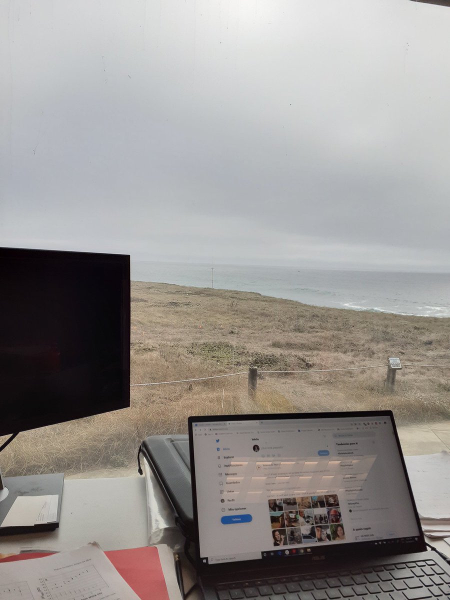 This week I will collaborating with #scienceathon by posting some of my daily activities as a scientist. Today it has been a productive writing day in the office at @bodegamarinelab
