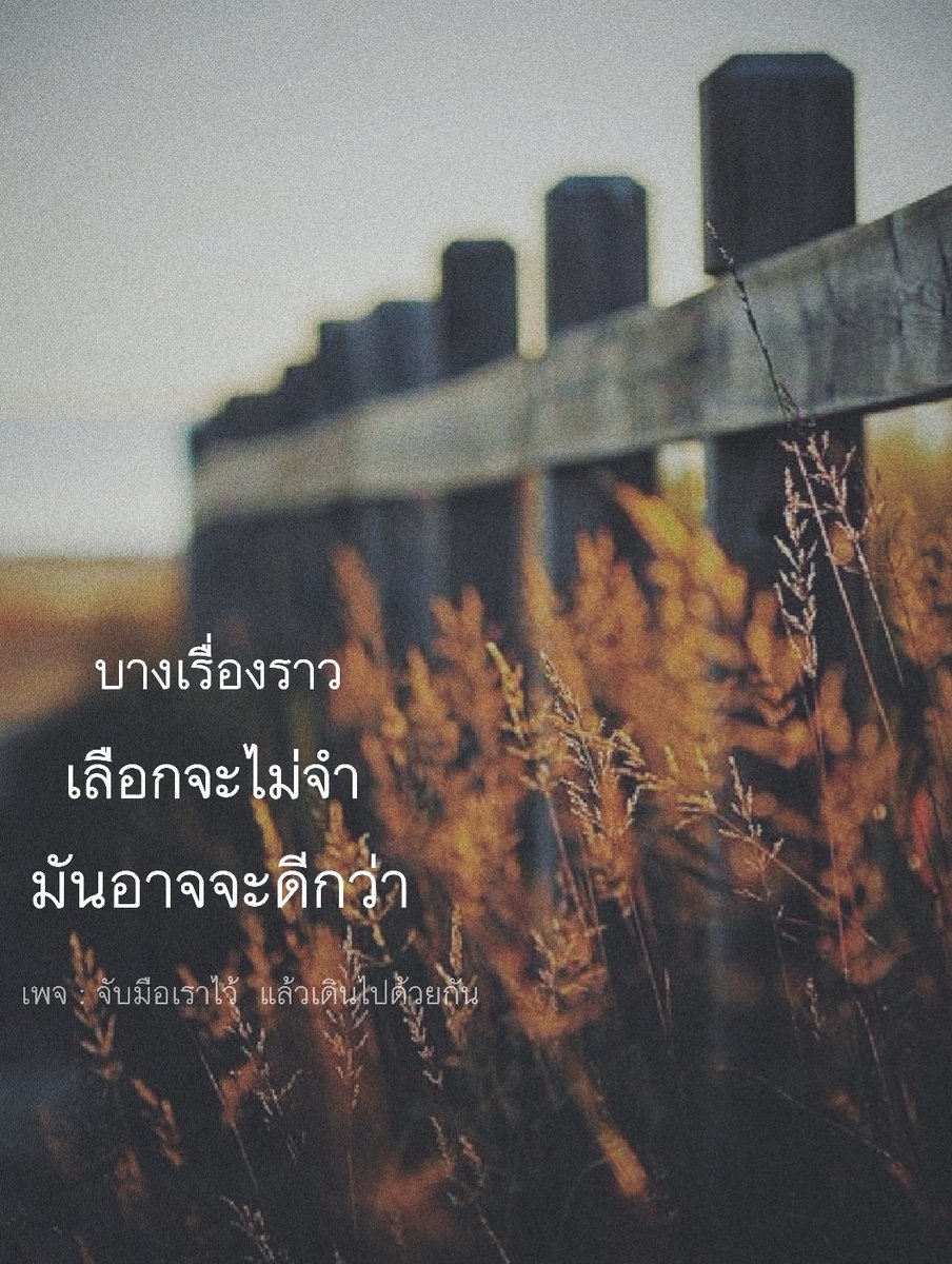 จับมือเราไว้ แล้วเดินไปด้วยกัน on Twitter: จับมือเราไว้ แล้วเดินไปด้วยกัน On Twitter: