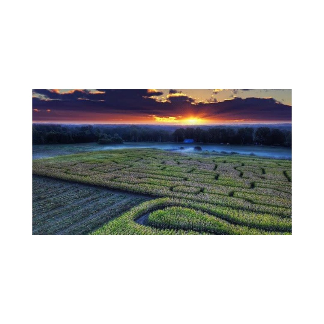 TheBeekmanTower's tweet image. Looking for some fun #fallactivities to try? Check out this #helpfularticle and start crafting your #fallbucketlist today:  bit.ly/2OFhd2R