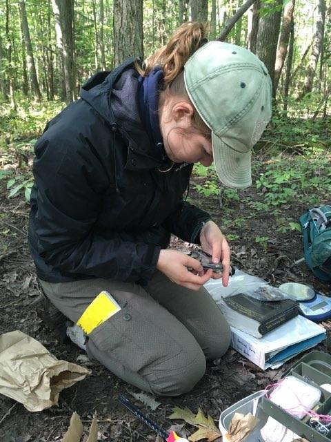 Happy first #DayofScience for the @science_a_thon! This week I'll feature pics from my current scientist life and from last year. This is from last year when I started my field season and was banding birds as a part of my research. #scienceathon #AcademicTwitter