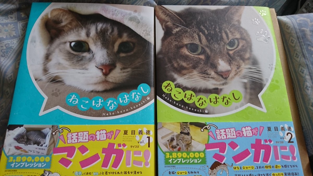 ねこはなはなし