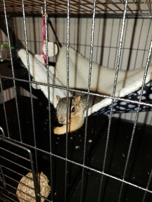 He's so darn cute, hes definitely got a personality lol https://t.co/VNwaLslkC2