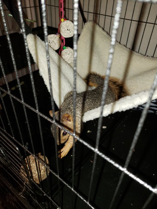 He's so darn cute, hes definitely got a personality lol https://t.co/VNwaLslkC2