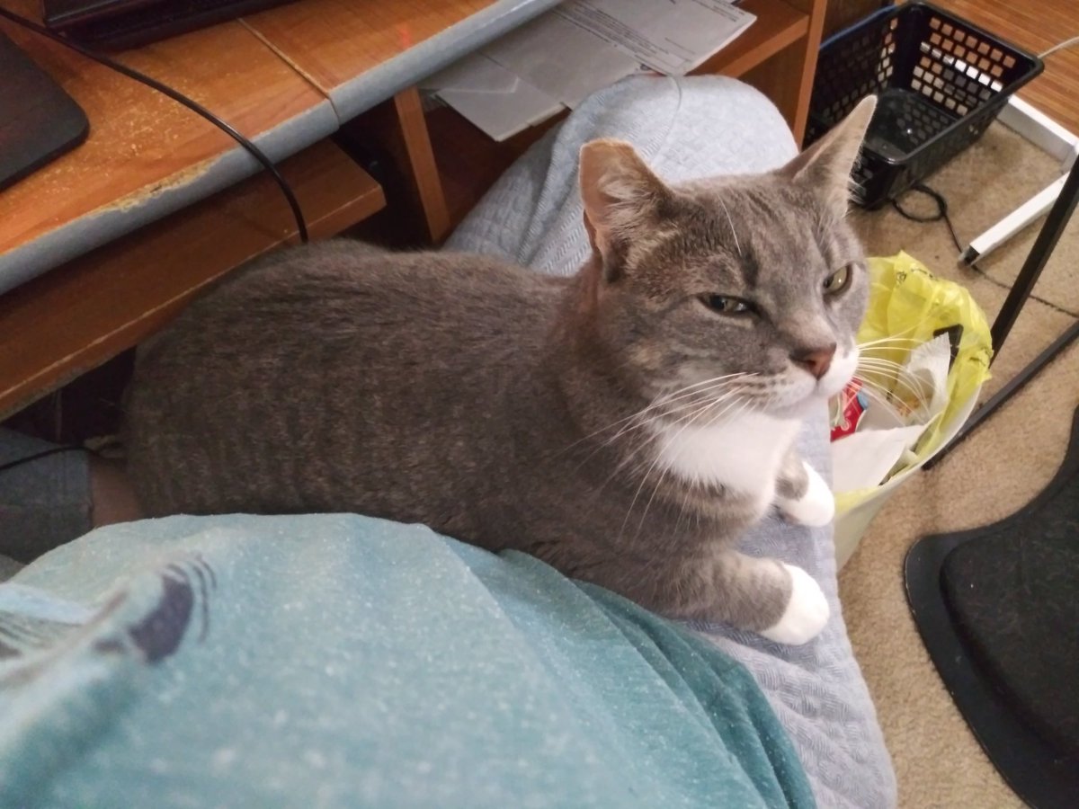 I gotta get up but... She will not allow...