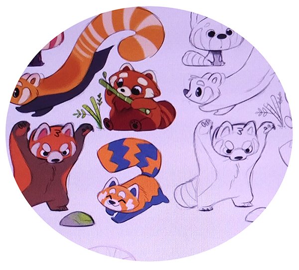 Red Panda & Raccoon Stickers 