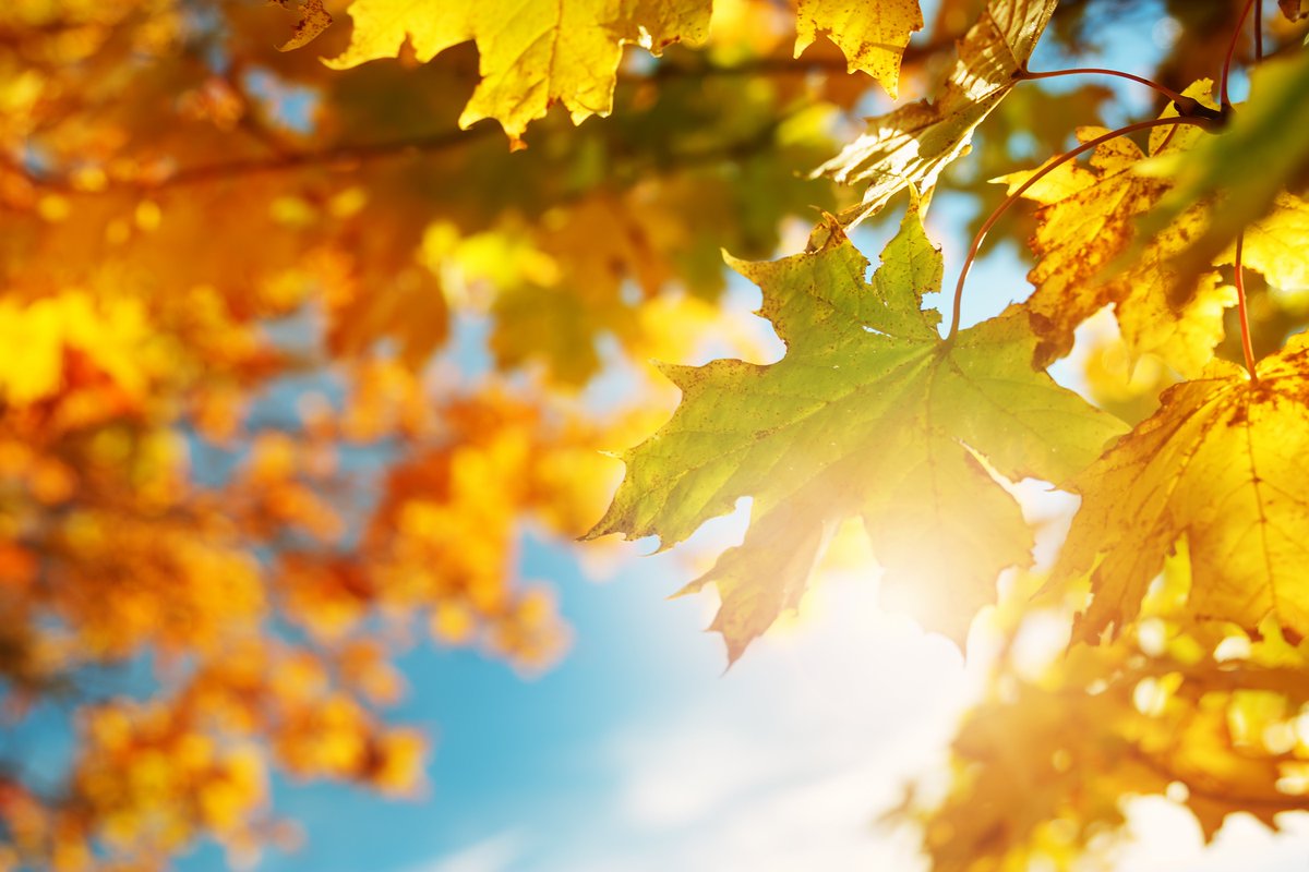 De herfstvakantie is van start in het zuiden! Ben je op zoek naar een leuke activiteit of dagje weg in deze periode? De VVV's hebben voor het gemak een selectie voor je gemaakt van de leukste evenementen en activiteiten in eigen land! bit.ly/2OEYzsp