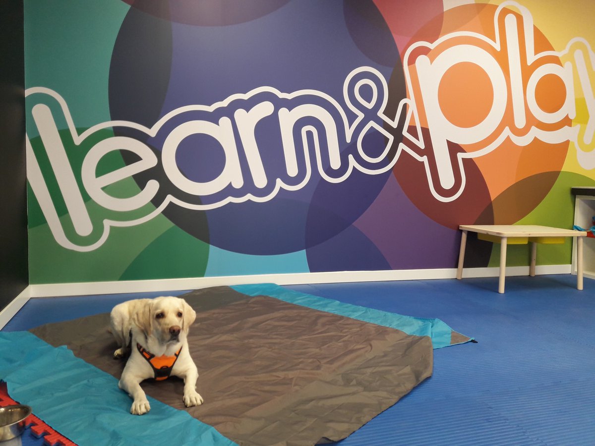 Valdebebas's tweet photo. Este pasado domingo se celebró el taller 'Aprende a cuidar a tu mascota con Voll' gracias a la Pedagoga Amara, su perro Voll y organizado por la escuela de inglés #Valdebebas @LearnnPlaySpain ¡Aforo completo! Infórmate y participa en los siguientes 👉 https://t.co/BQj3Jp0NKU https://t.co/iir1jQ0Dwl