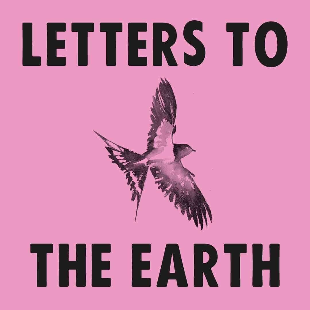 Feel the need to pause,take stock &amp; figure how best to move forwards in this #ClimateEmergency ?

Tonight 6.45
#LetterstotheEarth performance &amp;writing @TeaHouseTheatre Vauxhall w <a href="/XrYouth/">Extinction Rebellion Youth</a> author #JayGriffiths &amp; actors #AlexLawther &amp; <a href="/archmadekwe/">sera 🎀</a> 

bit.ly/2MdLJz0

Bring📝