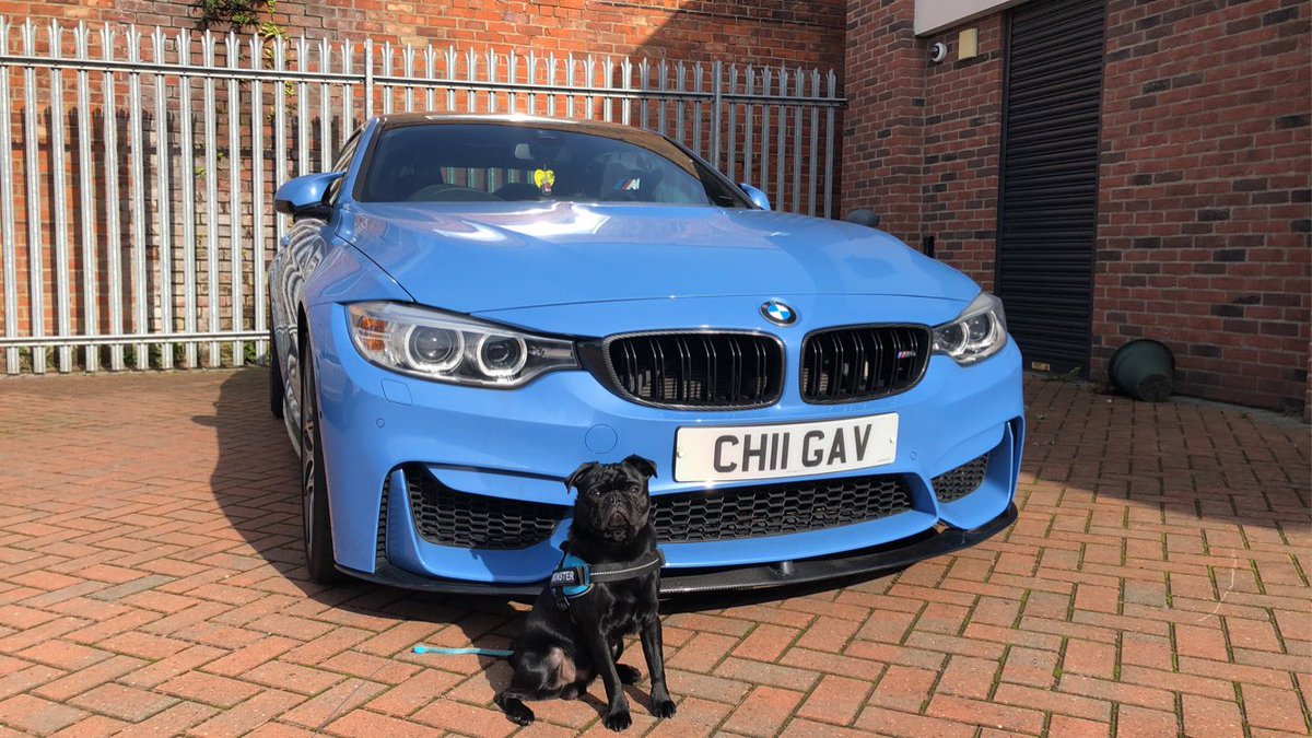 TidyChi's tweet photo. Bodyguard. 
#BMW #M4 #Bimmer #BMWm4 #Bodyguard #Pug #Puppy #Woof #BalckPug #PugPuppy #Dog #BMWF82 #BMWCompetition #MPower #MPerformance https://t.co/yATJhO1DjB