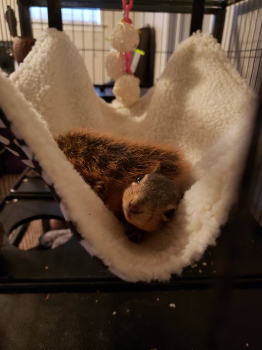 He's so darn cute, hes definitely got a personality lol https://t.co/VNwaLslkC2