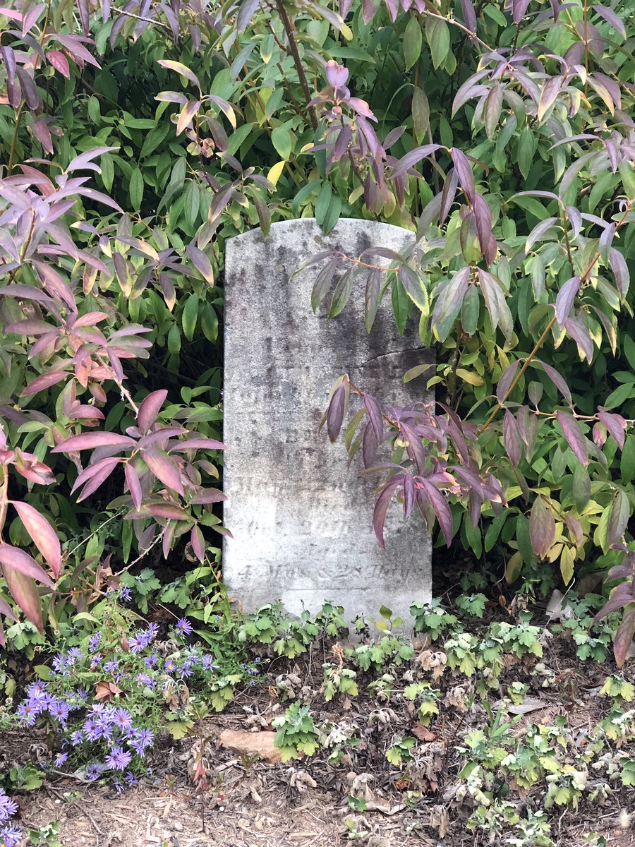 dralysalucas's tweet photo. Productive and fun trip to Atlanta for the @shepodcasts live conference with friends, the @AtlBotanical garden, and @HistoricOakwood! #podcasting #shepodcastslive #spl19 #friends #podfriends #friendship #botanicalgardens #oaklandcemetery https://t.co/rZGa8Teyvf
