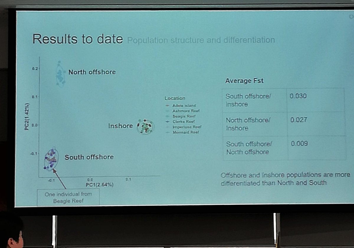 CVillacortaRath's tweet image. 50million SNPs giving #geneticstructure between northern and southern populations of the #coral Acropora digitifera as well as between offshore pops submerged at all times and one inshore pop exposed at low tide.Great confirmation seminar, Jia Zhiang! @MarineOmics @jcu @CTBMB_JCU
