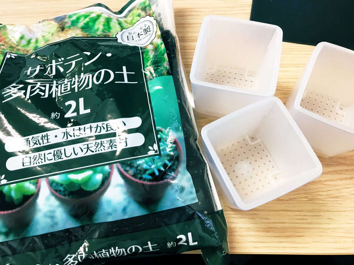 創美社 Main En Twitter そうびしゃ観察日記12 いよいよ植え替えです 多肉植物の鉢はプラスチックがいいんだとか セリアさんにお世話になります 群馬 創美社 多肉植物 植物 発育 観察日記 そうびしゃ観察日記 生命 100均 Seria 土 鉢植え 創美社 Main En Twitter そうびしゃ観察日記12 いよいよ植え替えです 多肉植物の鉢はプラスチックがいいんだとか セリアさんにお世話になります 群馬 創美社 多肉植物 植物 発育 観察日記 そうびしゃ観察日記 生命 100均 Seria 土 鉢植え