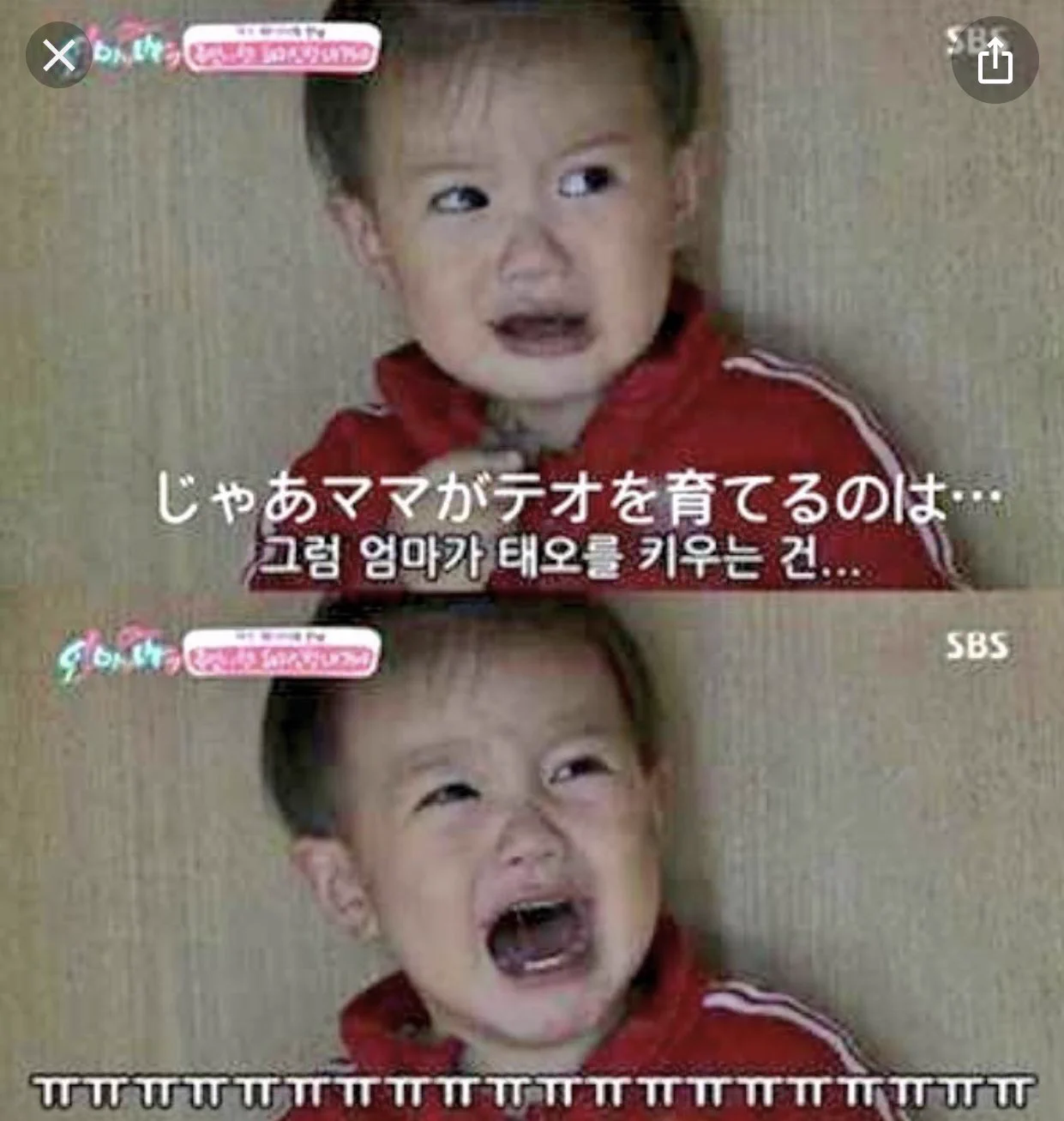 豚を育てるのは豚を食べるため？じゃあ息子を育てるのは息子を食べるため？www