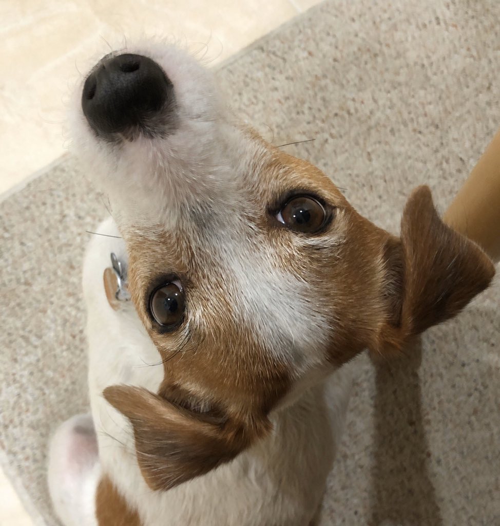 Bodie JRT tweet media
