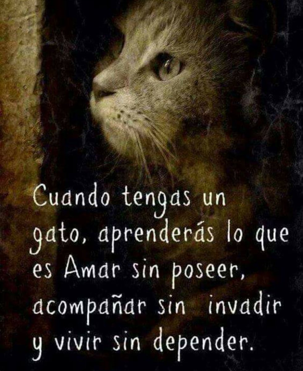 nación rockera on Twitter: "tres lemas: amar sin poseer, acompañar ...