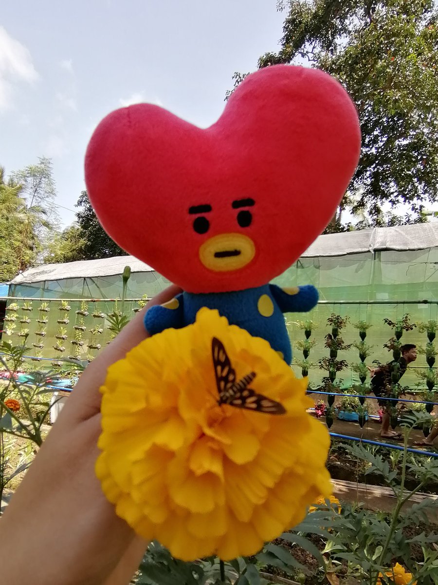 kimrayoung07's tweet photo. Tata had a very wonderful and fun weekend 💜
#TATAAdventures
@BTS_twt https://t.co/KCue0zYi5B