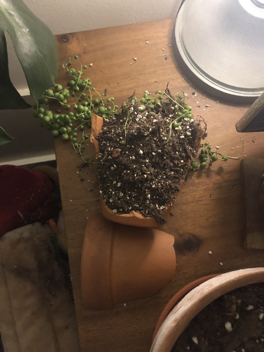 a broken plant/planter