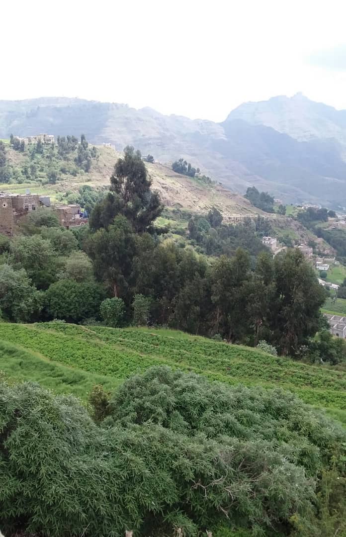صباكم مشرق كإشراقة الطبيعه