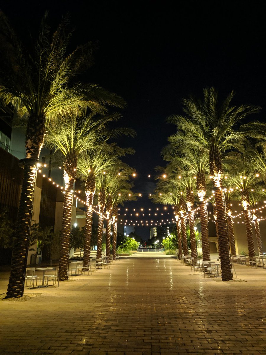 Varun_SFC's tweet photo. Perks of an all-nighter on campus 
#asu https://t.co/7b75HayuYK