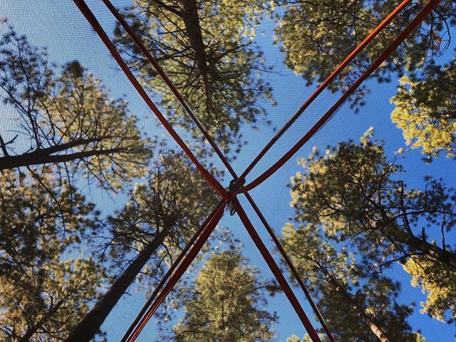 Things are looking up ☝️
.
.
.
.
.
#camping #mogollonrim #tentcamping #tentviews ift.tt/2BbdxO6